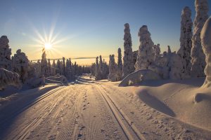 découvrir la Laponie